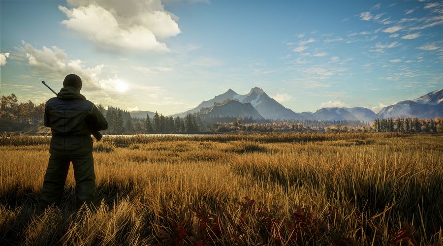 theHunter: Call of the Wild