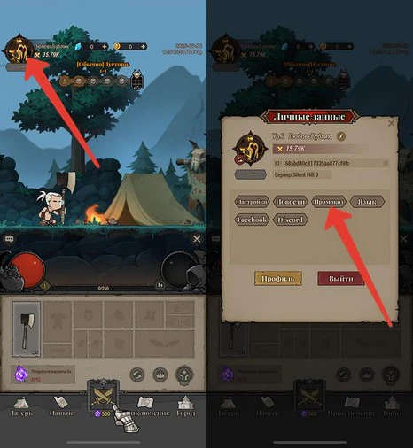 Lootborn Warriors где вводить коды