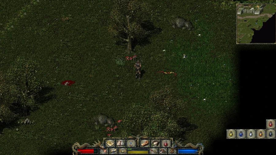 Скриншот Divine Divinity Скриншот Divine Divinity