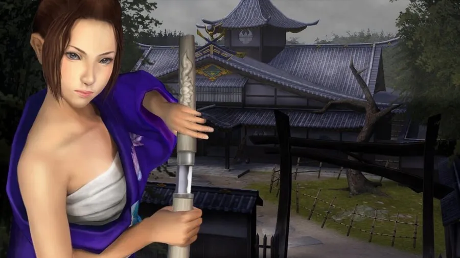 Way of the Samurai 2 как ввести чит коды